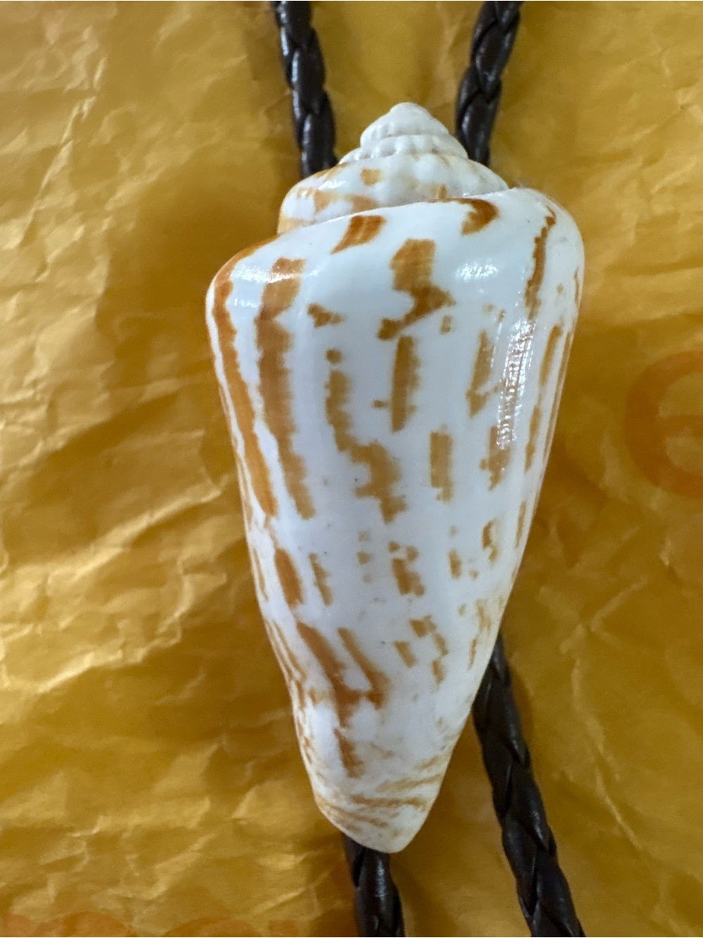 Natural White and Brown Seashell Pendant Bolo Tie